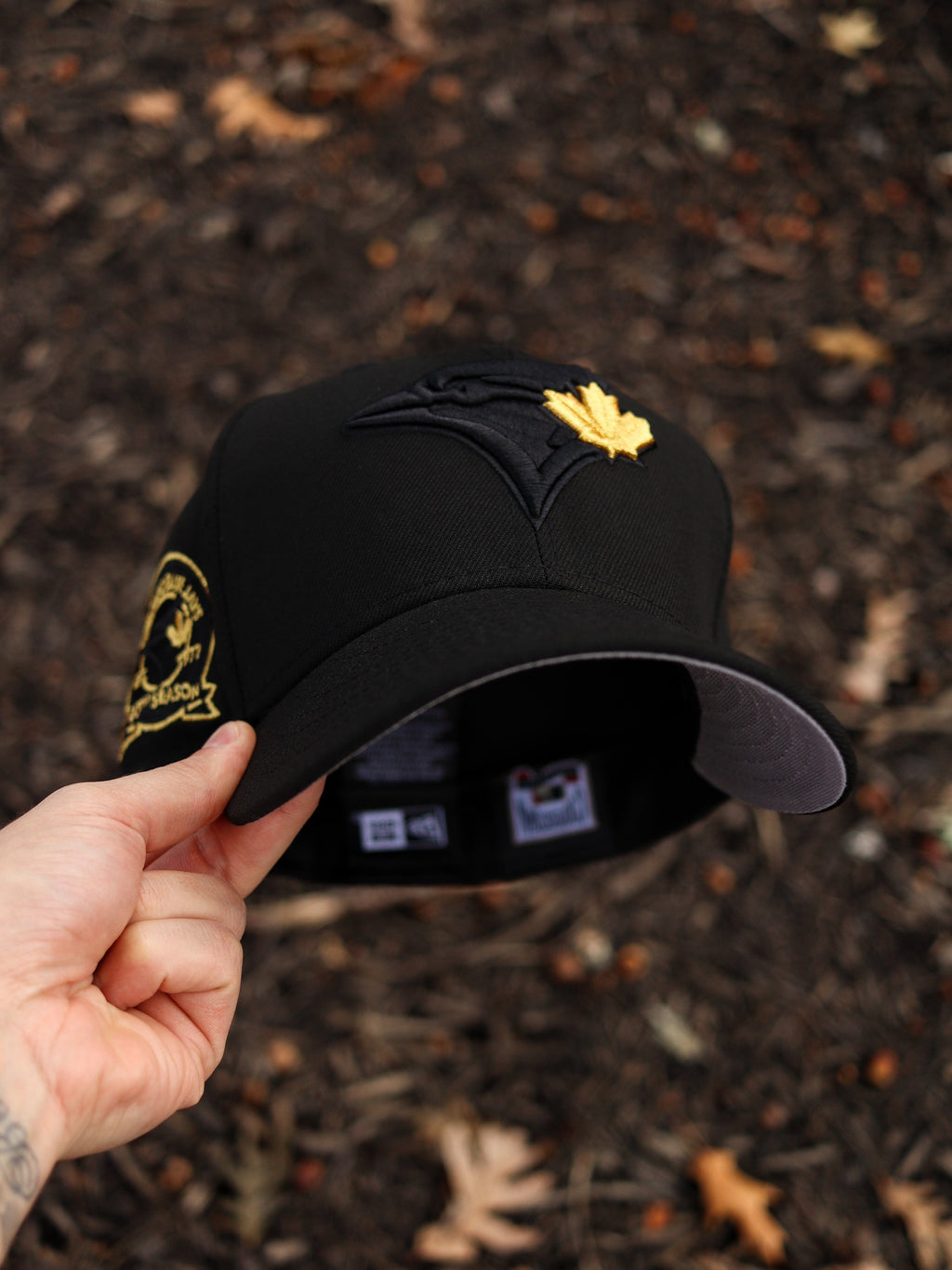 BLK/gold Toronto