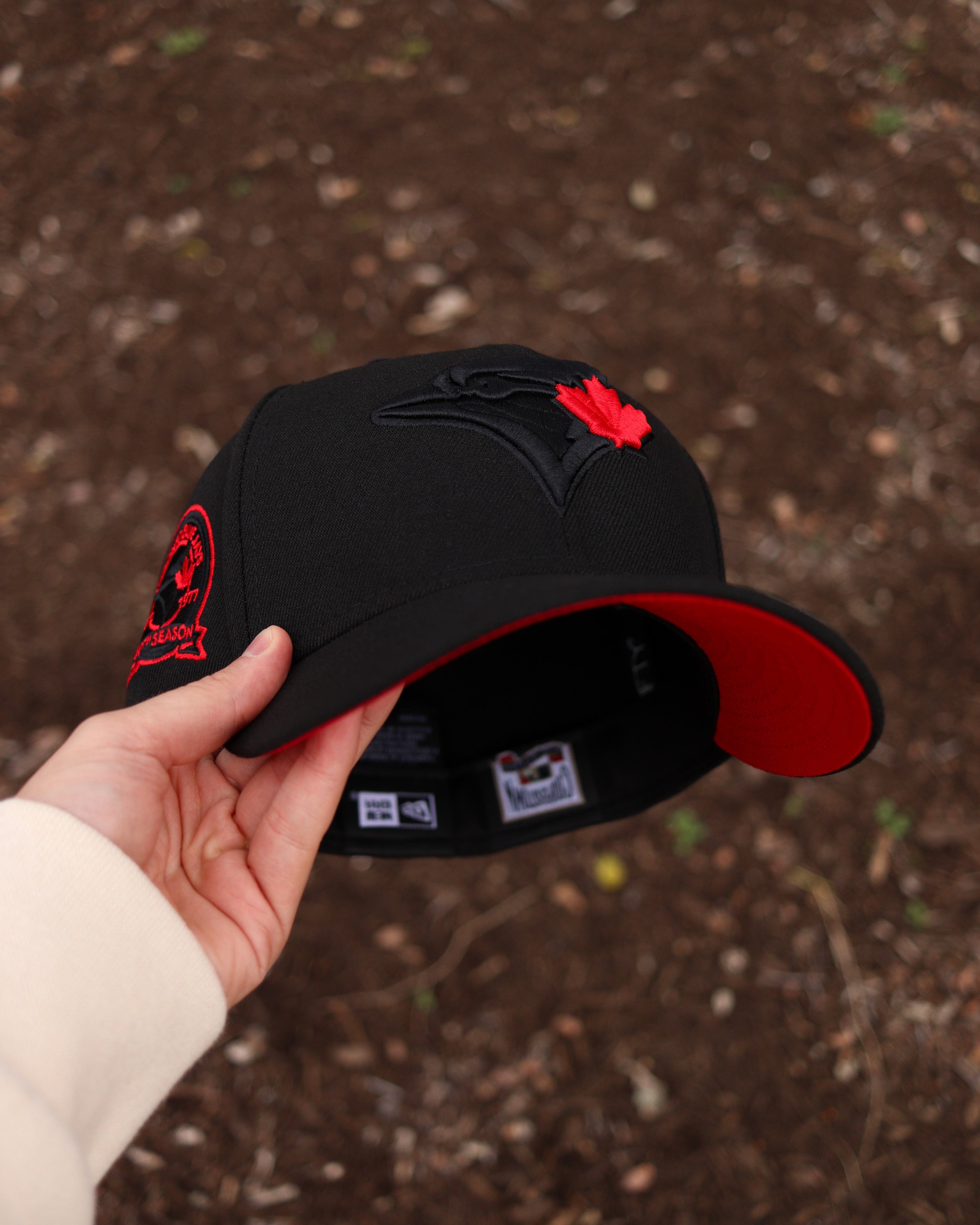 Blue jays (BLK/RED)