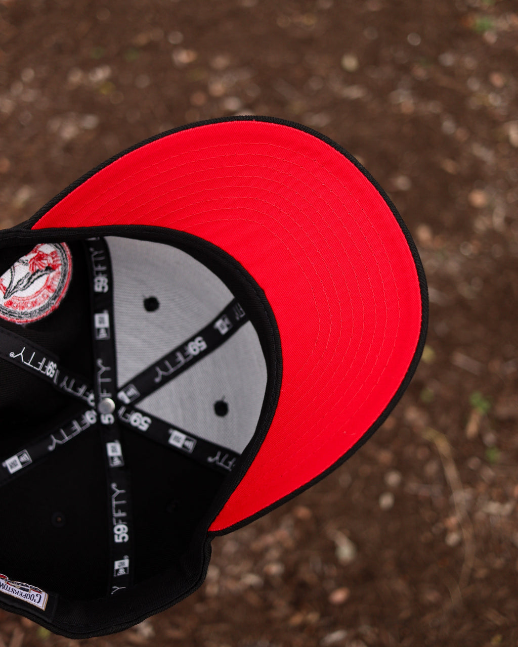 Blue jays (BLK/RED)