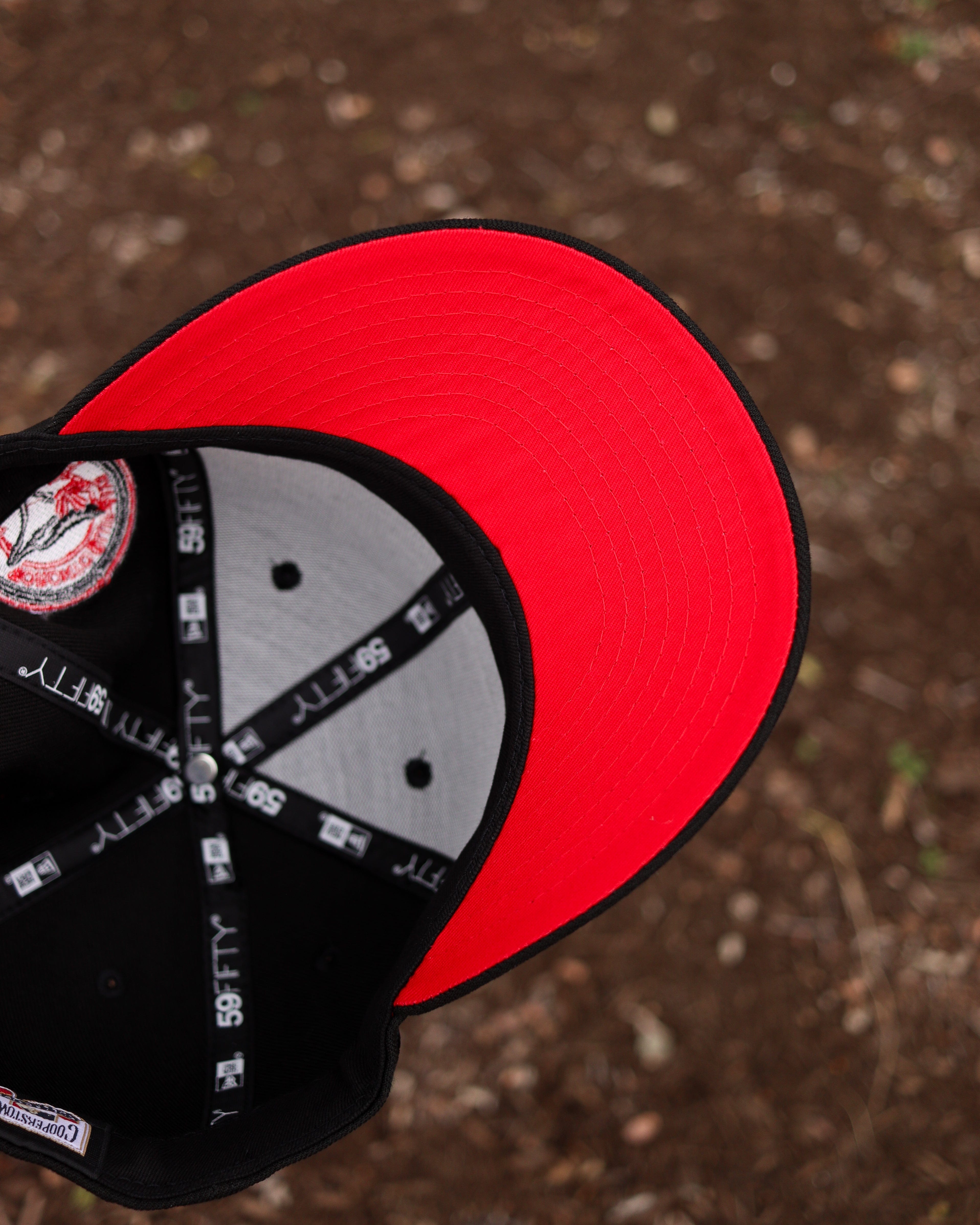 Blue jays (BLK/RED)